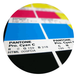 Frigo Vernici certificiazioni